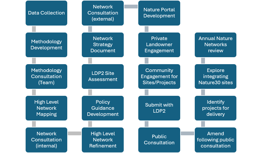 Flowchart showing the development and delivery process for Fife's Nature Networks.