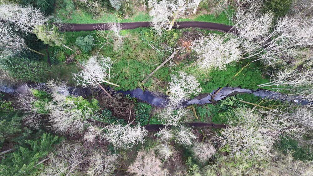 Aerial view of the Back Burn winding through Balbirnie Park, surrounded by trees, vegetation and walking paths