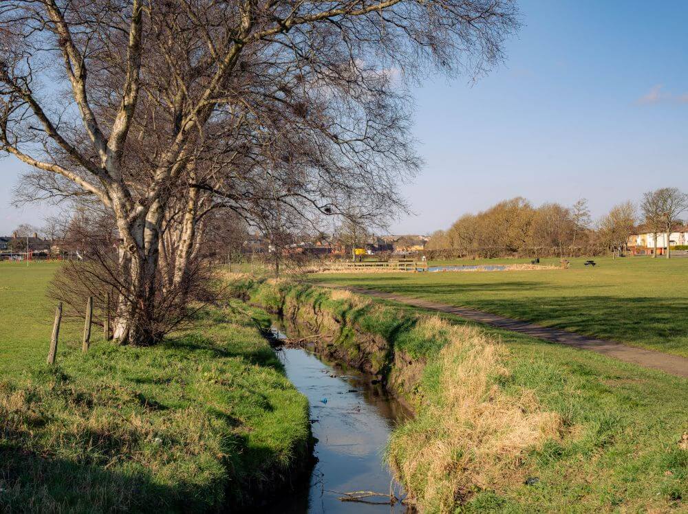 The Brankholm Burn flowing through Rosyth Public Park, bordered by grass, mature trees and a walking path