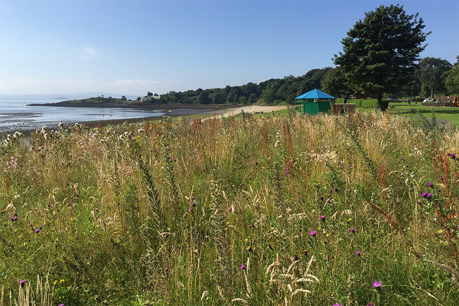Aberdour Silver Sands Improvements