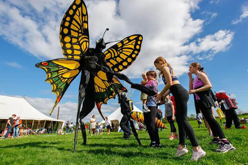 Person in butterfly costume