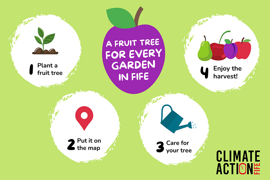A fruit tree for every garden